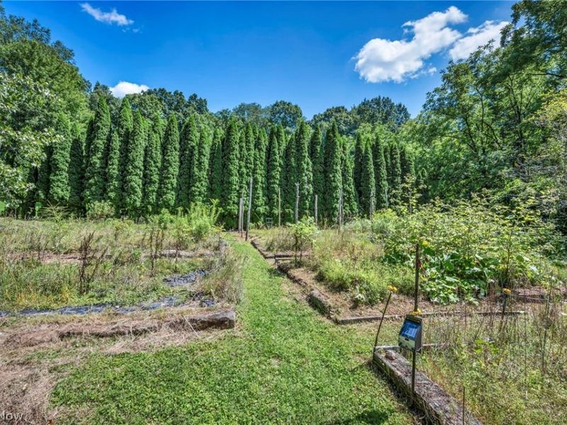 3573 Medina Line Road, Richfield, OH 44286 Photo 38