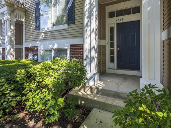 135 Enclave Circle , Unit B, Bolingbrook, IL 60440