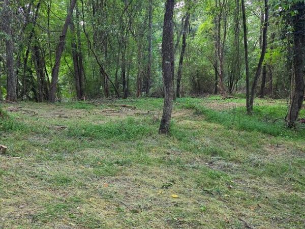 Lot 1 Thurman Street, Mccaysville, GA 30555
