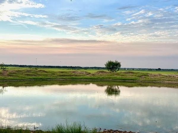 9484 State Highway 36 E, Cross Plains, TX 76443