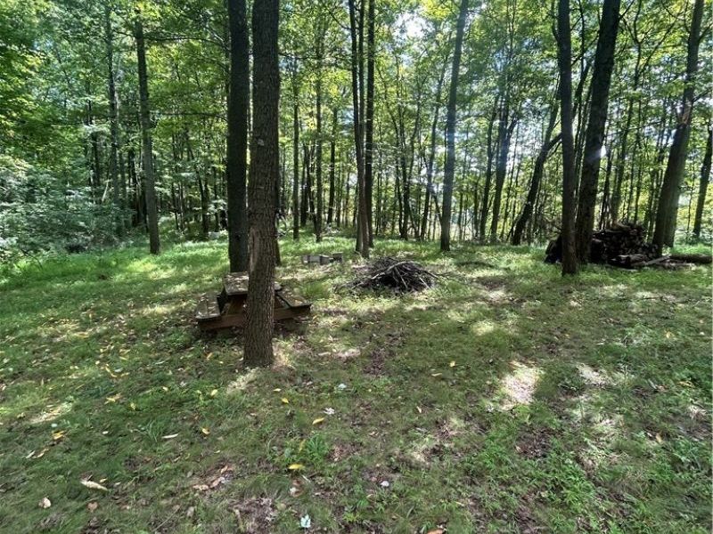5453 Union Hill Road, Kimbolton, OH 43749 Photo 14