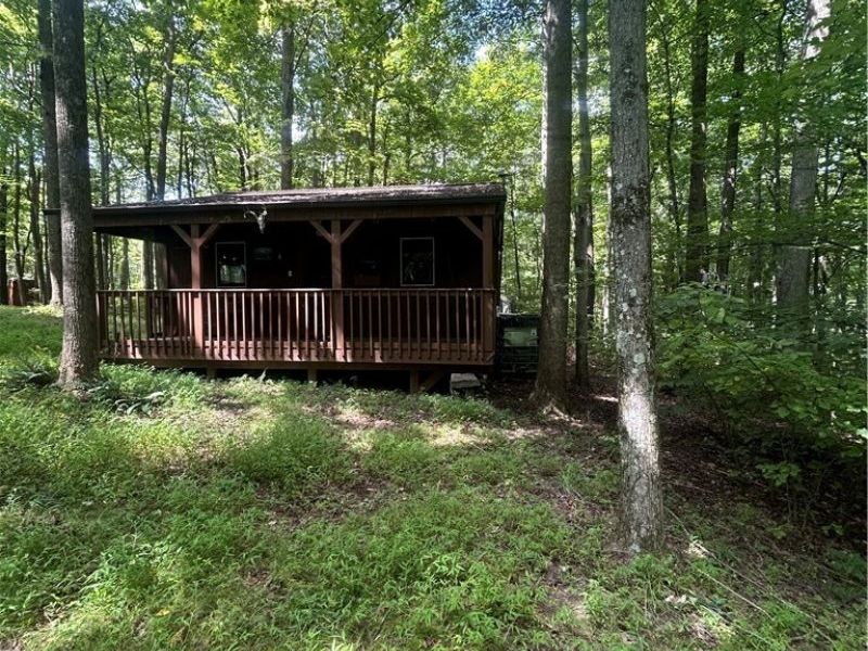 5453 Union Hill Road, Kimbolton, OH 43749 Photo 2