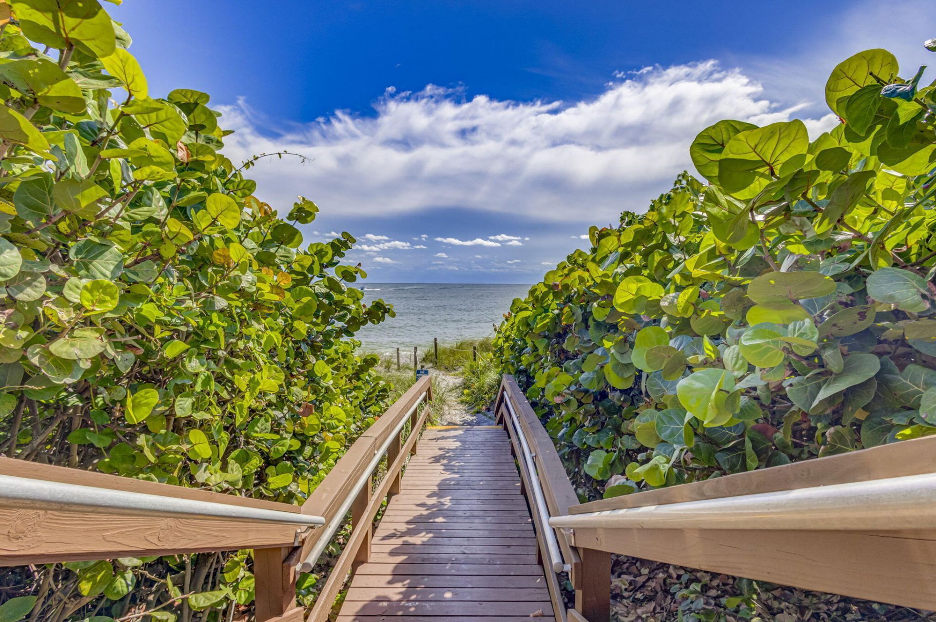 100 Ocean Trail Way, Unit 305, Jupiter, FL 33477 Photo