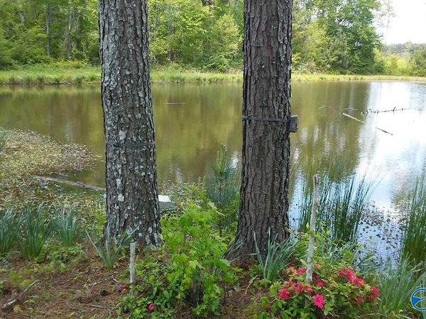193AC County Road 1069, Vinemont, AL 35179