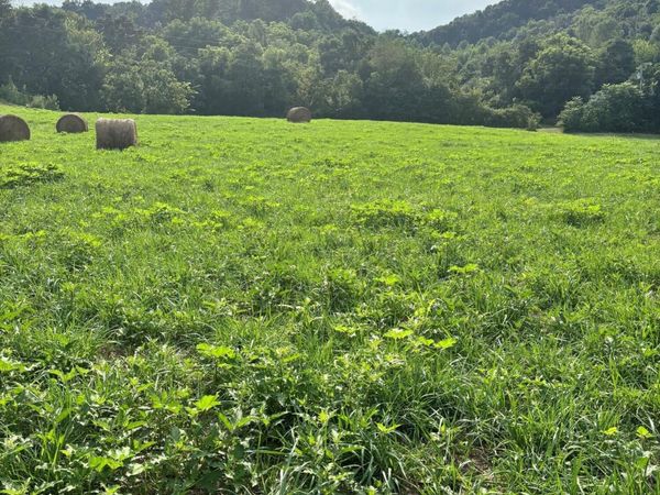 Lot 3 McBride Road, Morristown, TN 37814