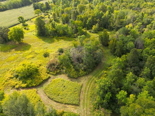 1XXX 150th Avenue , Ogilvie, MN 56358