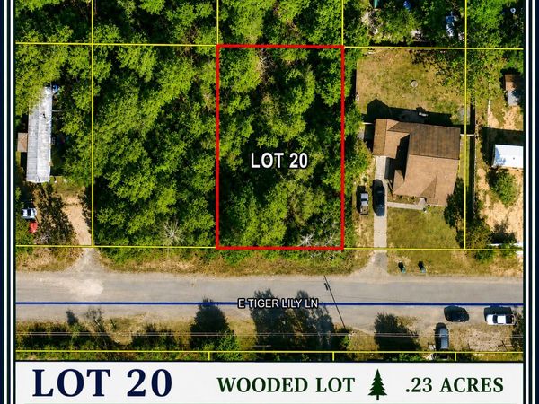 Lot 20 E Tiger Lily Lane, DeFuniak Springs, FL 32433