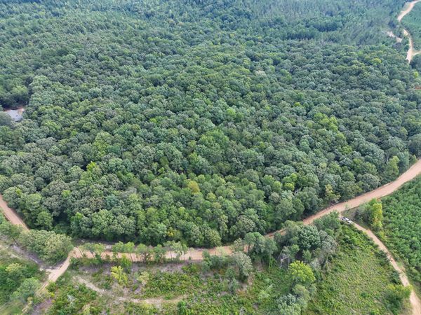 OAK RIDGE Rd, Fayette, AL 35555