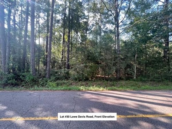 Lot #30 LOWE DAVIS Road , Covington, LA 70435