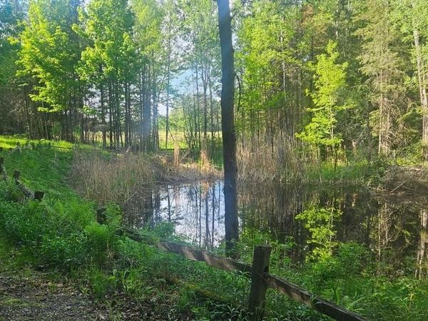 On FIGI ROAD, WI 54552