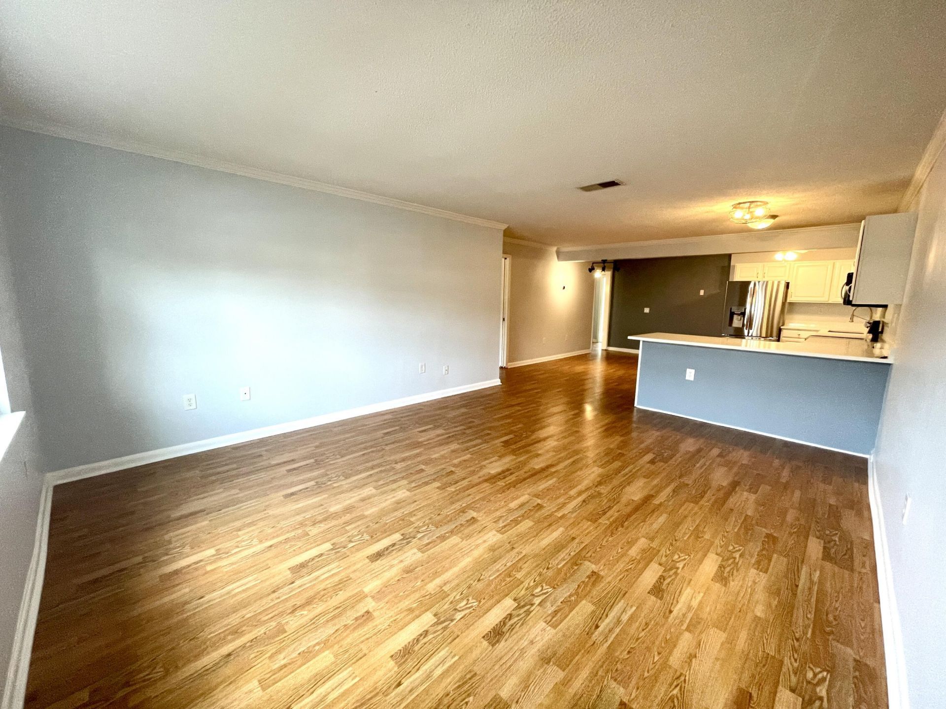 415 Parkdale Drive Photo 4