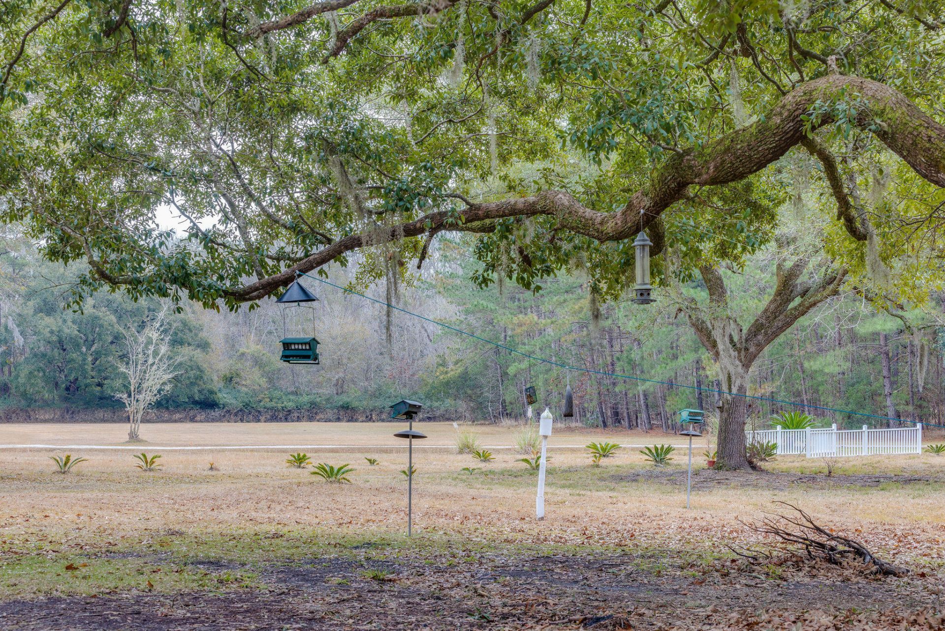 1708 Boyd N Hayes Road Photo 18