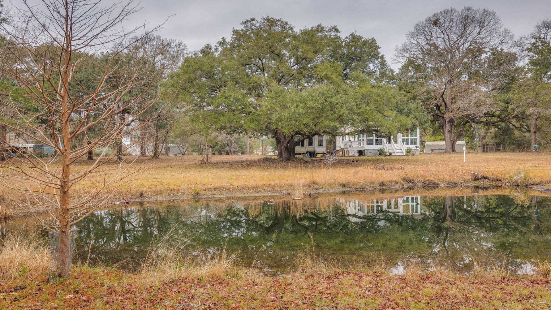 1708 Boyd N Hayes Road Photo 20