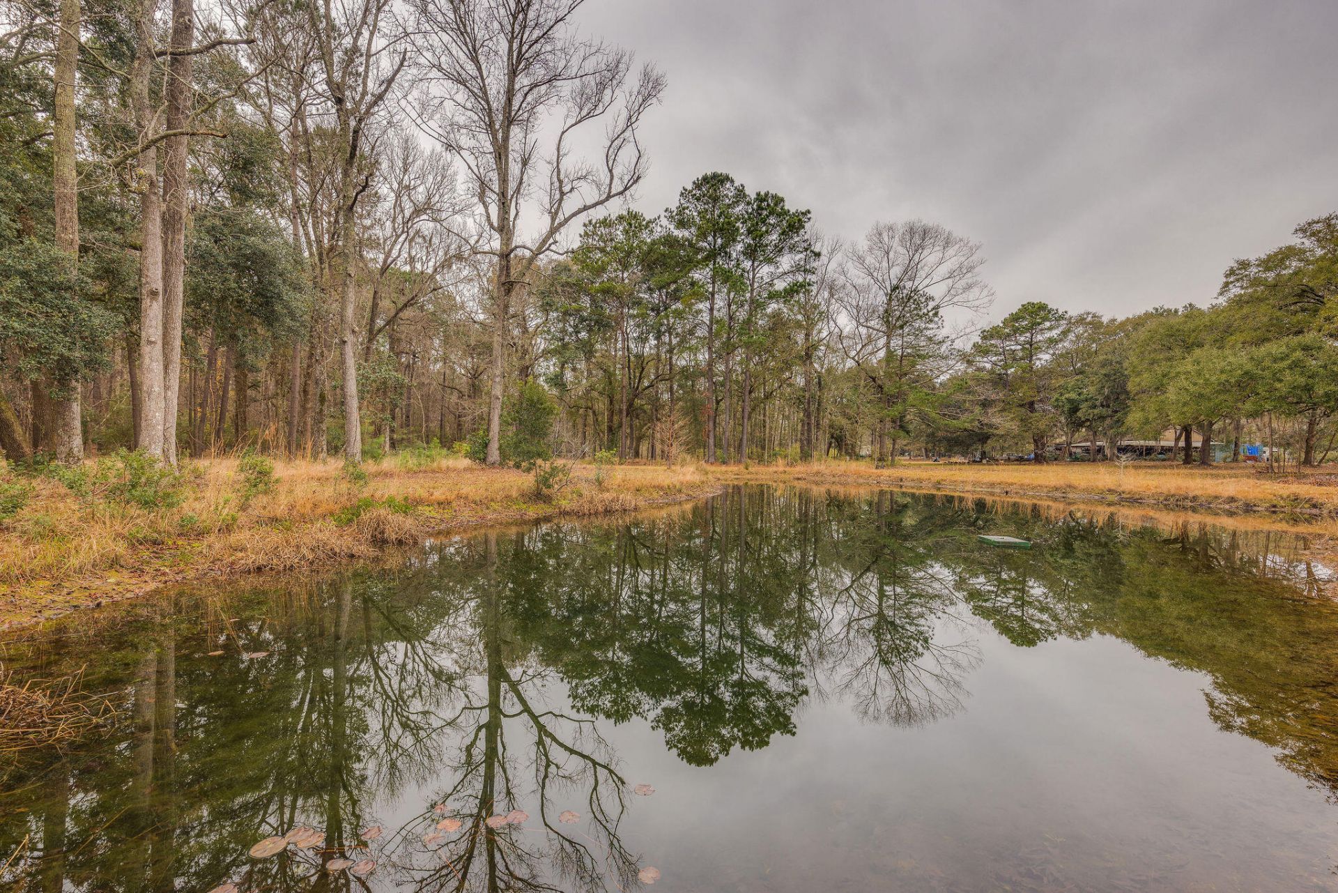 1708 Boyd N Hayes Road Photo 23