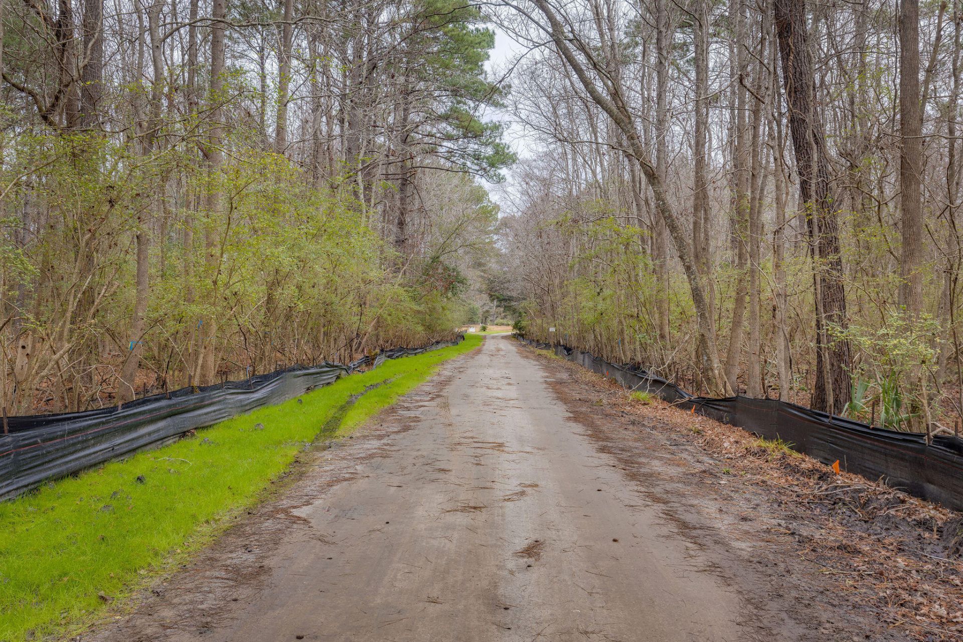 1708 Boyd N Hayes Road Photo 32
