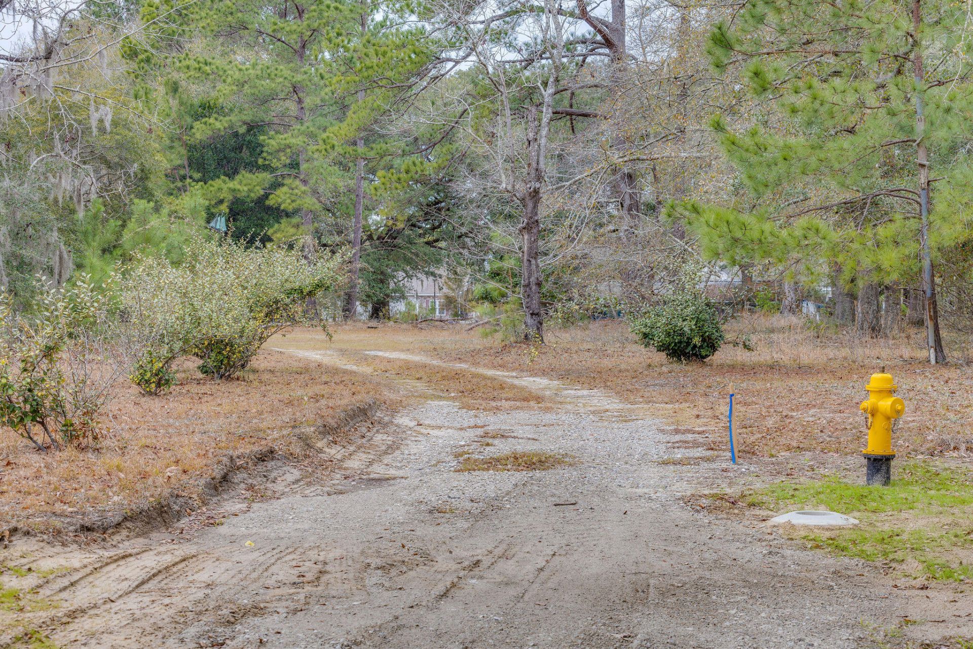 1708 Boyd N Hayes Road Photo 33