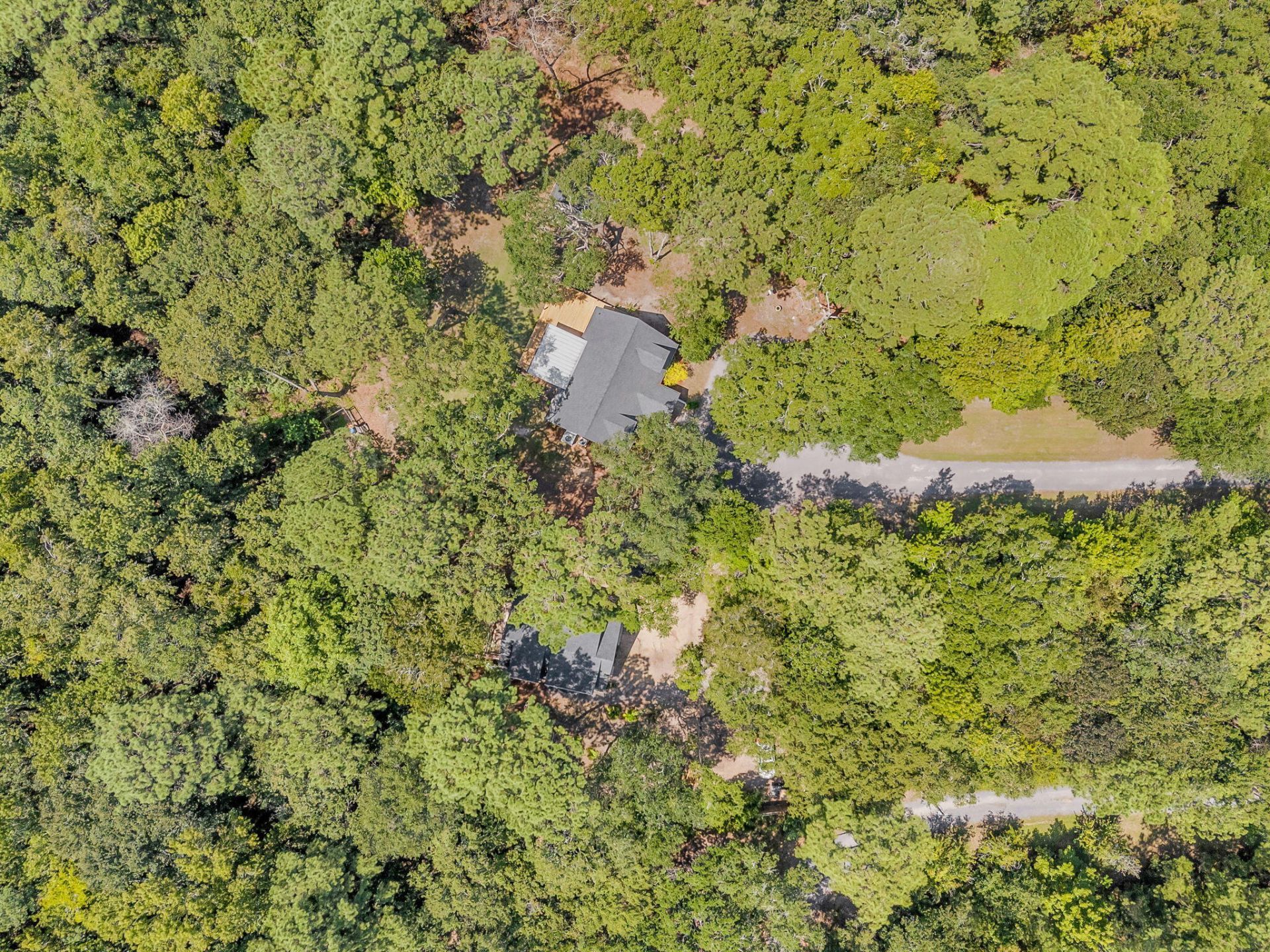 2895 Fagan Way Photo 6