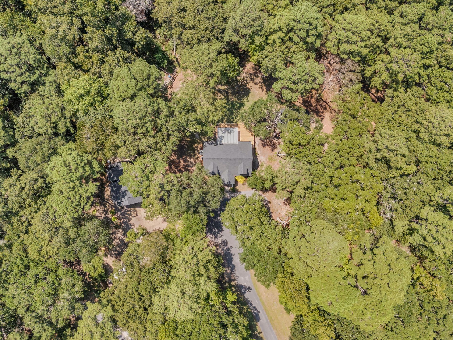2895 Fagan Way Photo 7