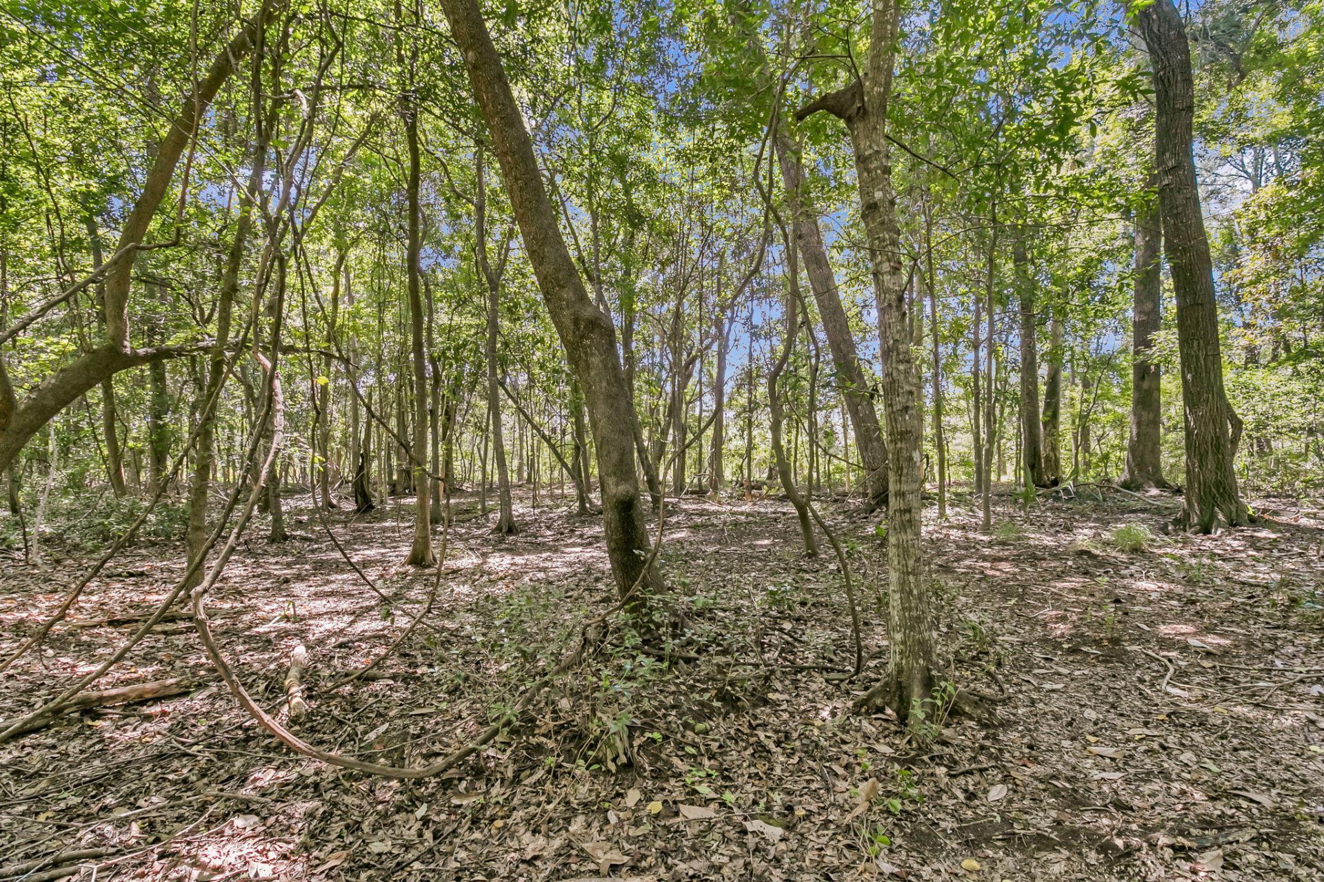 2895 Fagan Way Photo 79