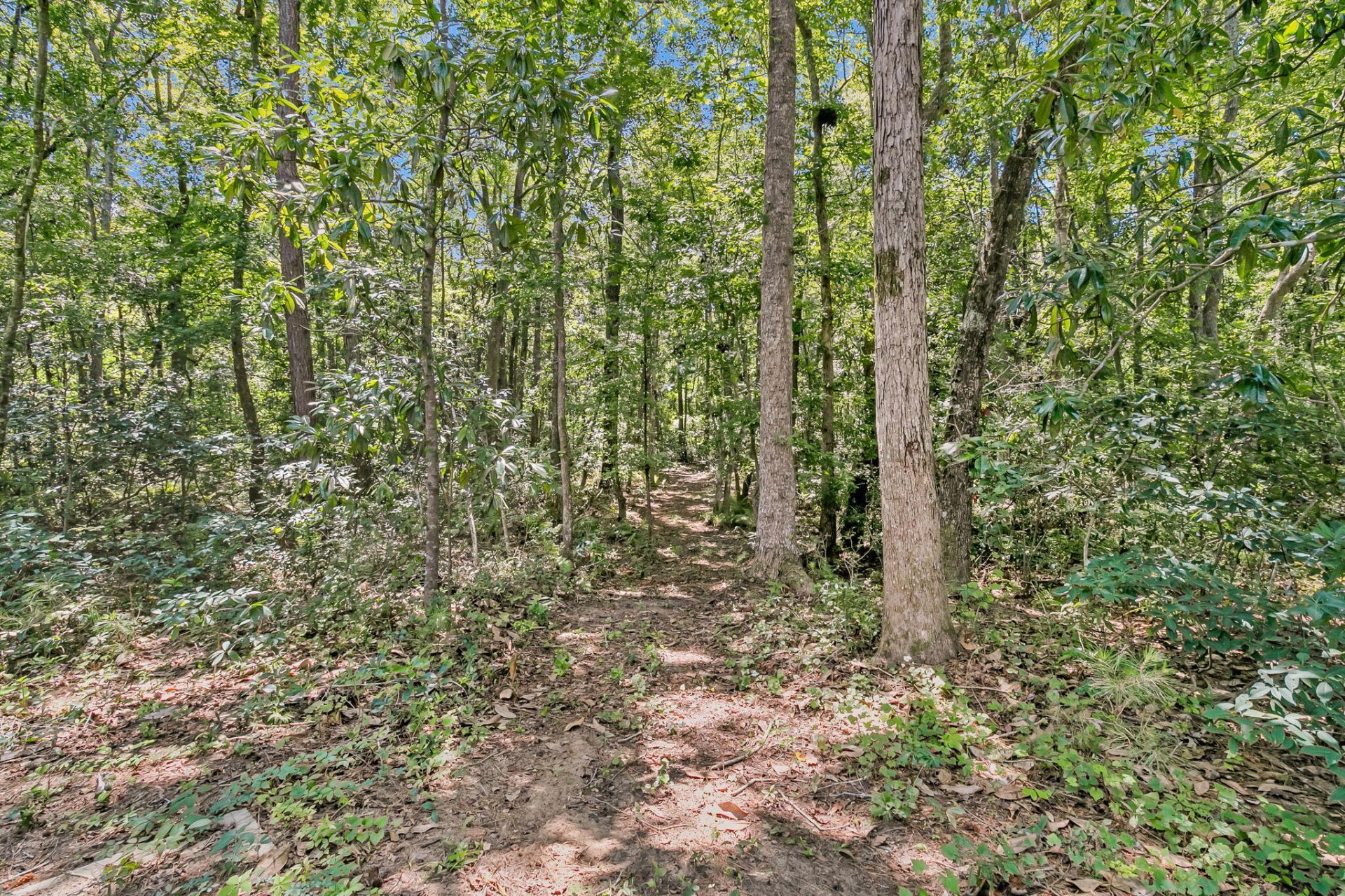 2895 Fagan Way Photo 80
