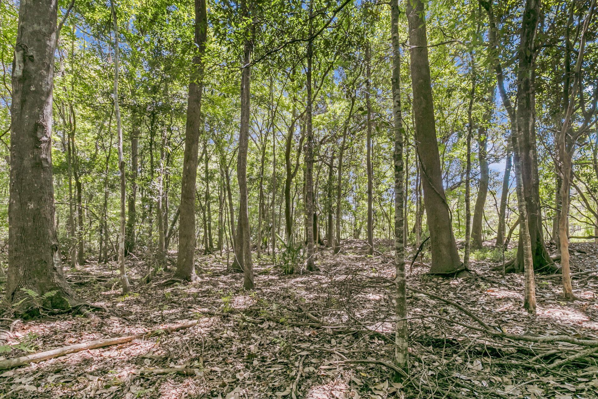 2895 Fagan Way Photo 81