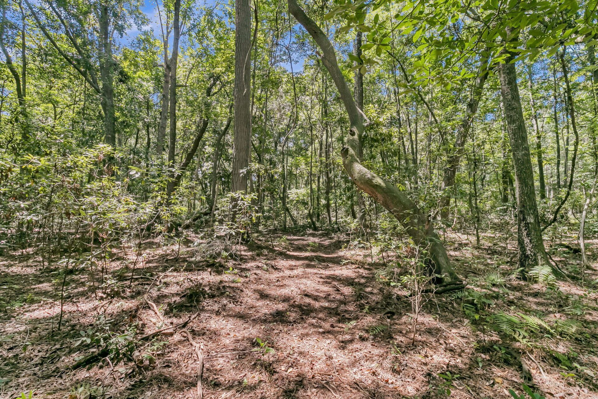 2895 Fagan Way Photo 82