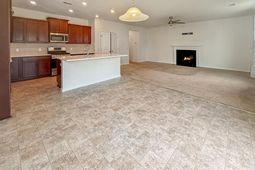527 Adalina Drive photo 4