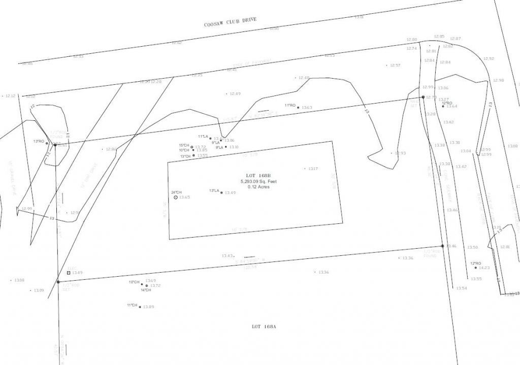 229 Coosaw Point Boulevard Photo 19