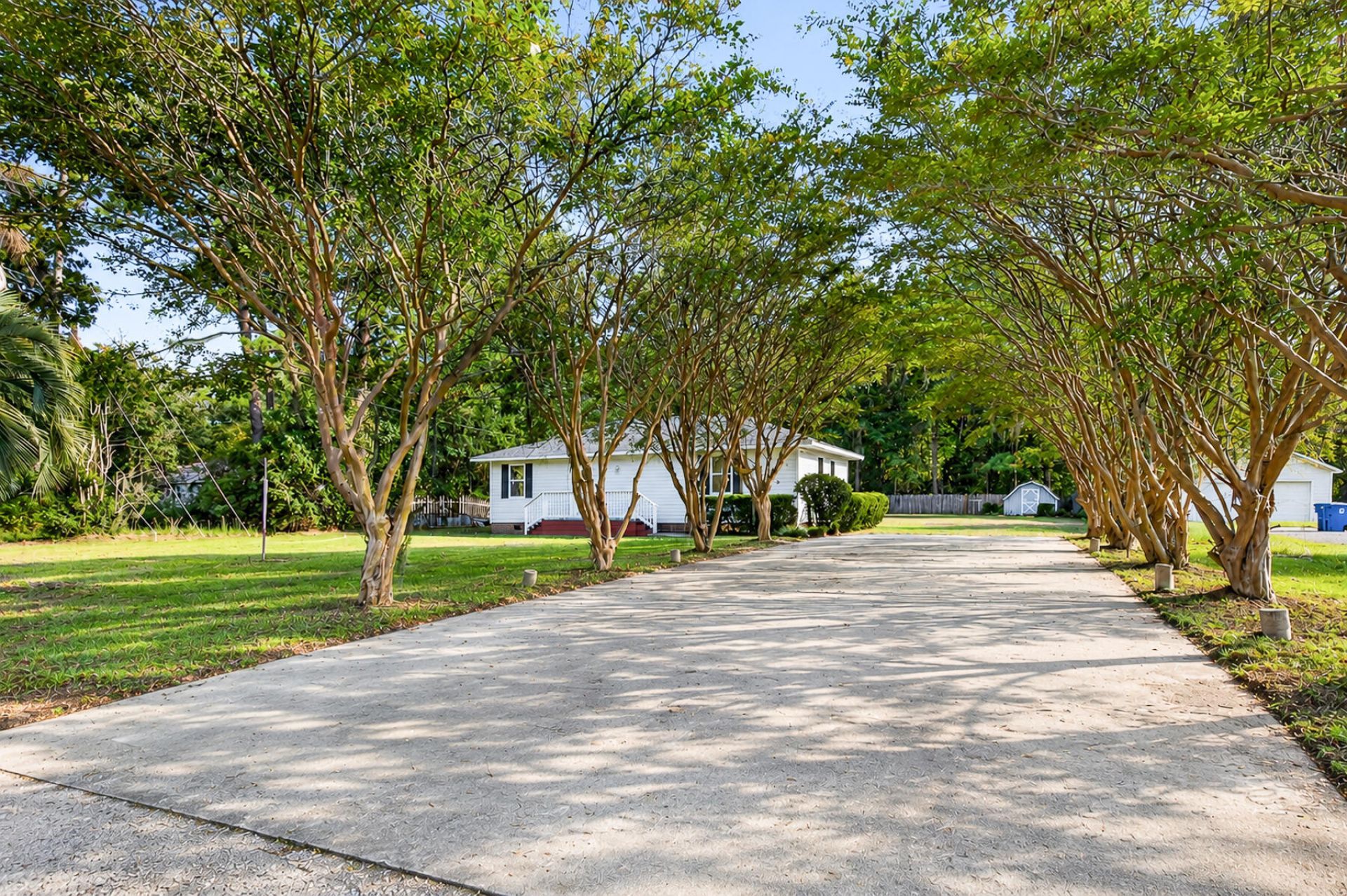 169 Ravenell Drive Photo 4