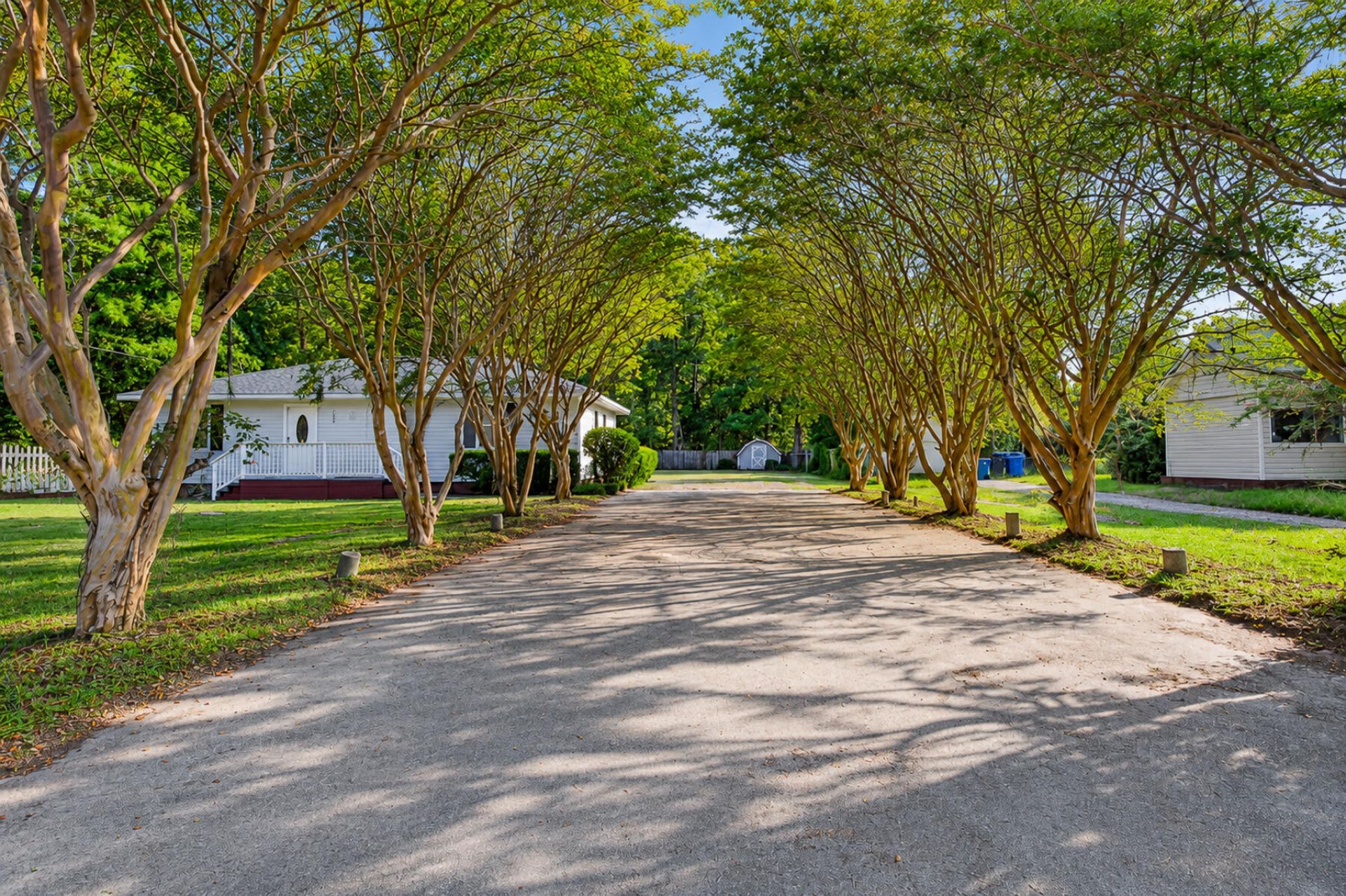 169 Ravenell Drive Photo 5