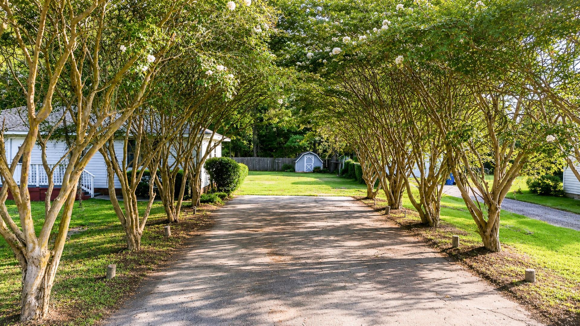 169 Ravenell Drive Photo 6