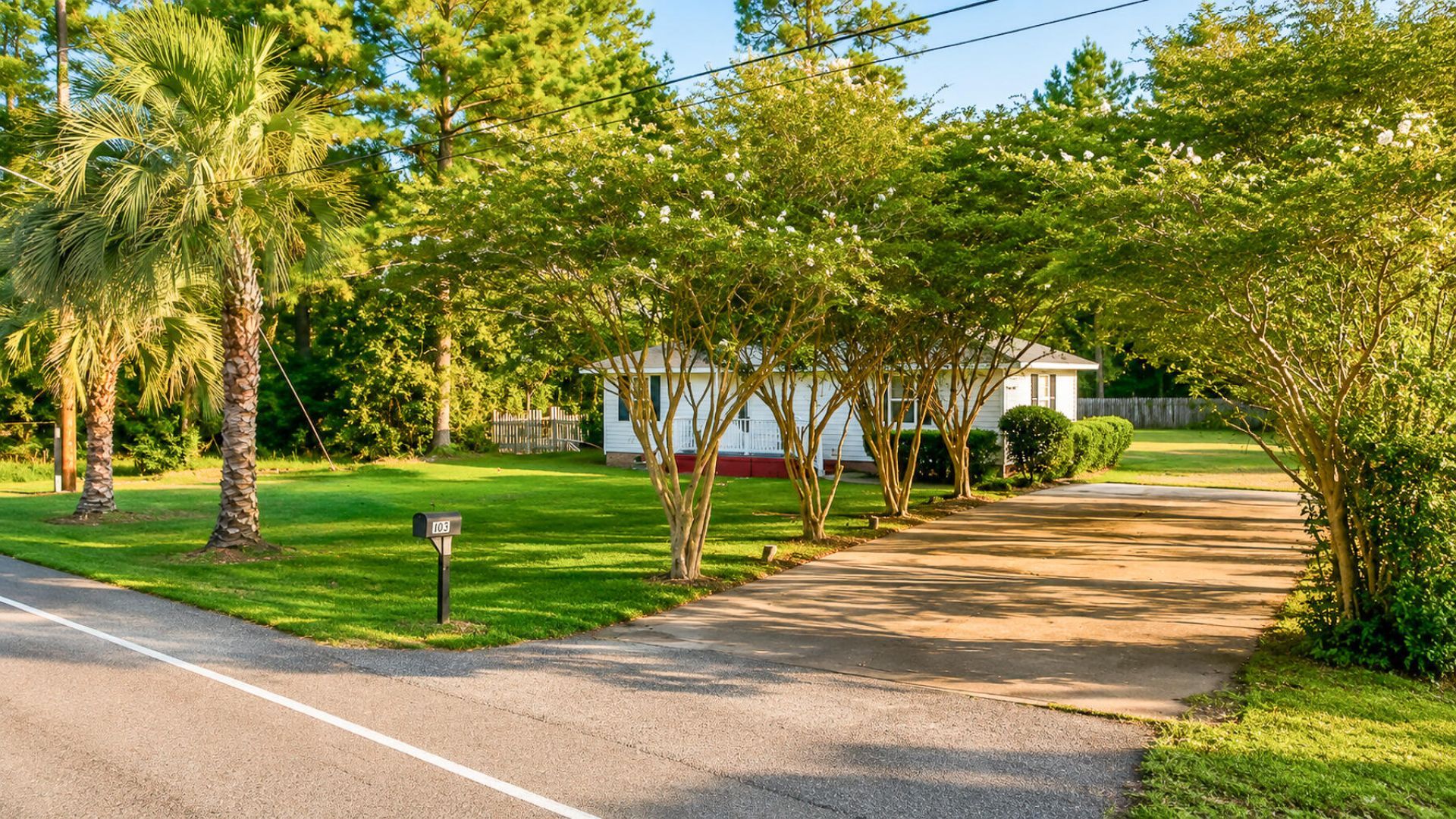 169 Ravenell Drive Photo 7