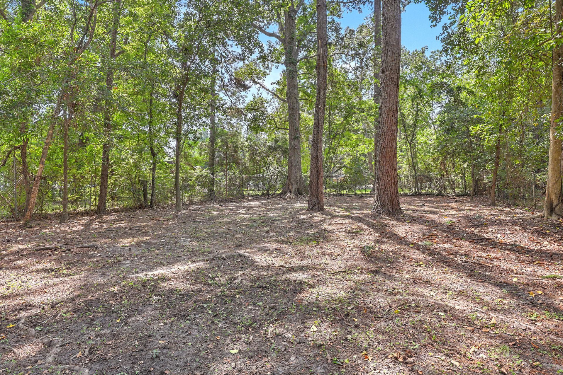 1609 Pineview Road Photo 33