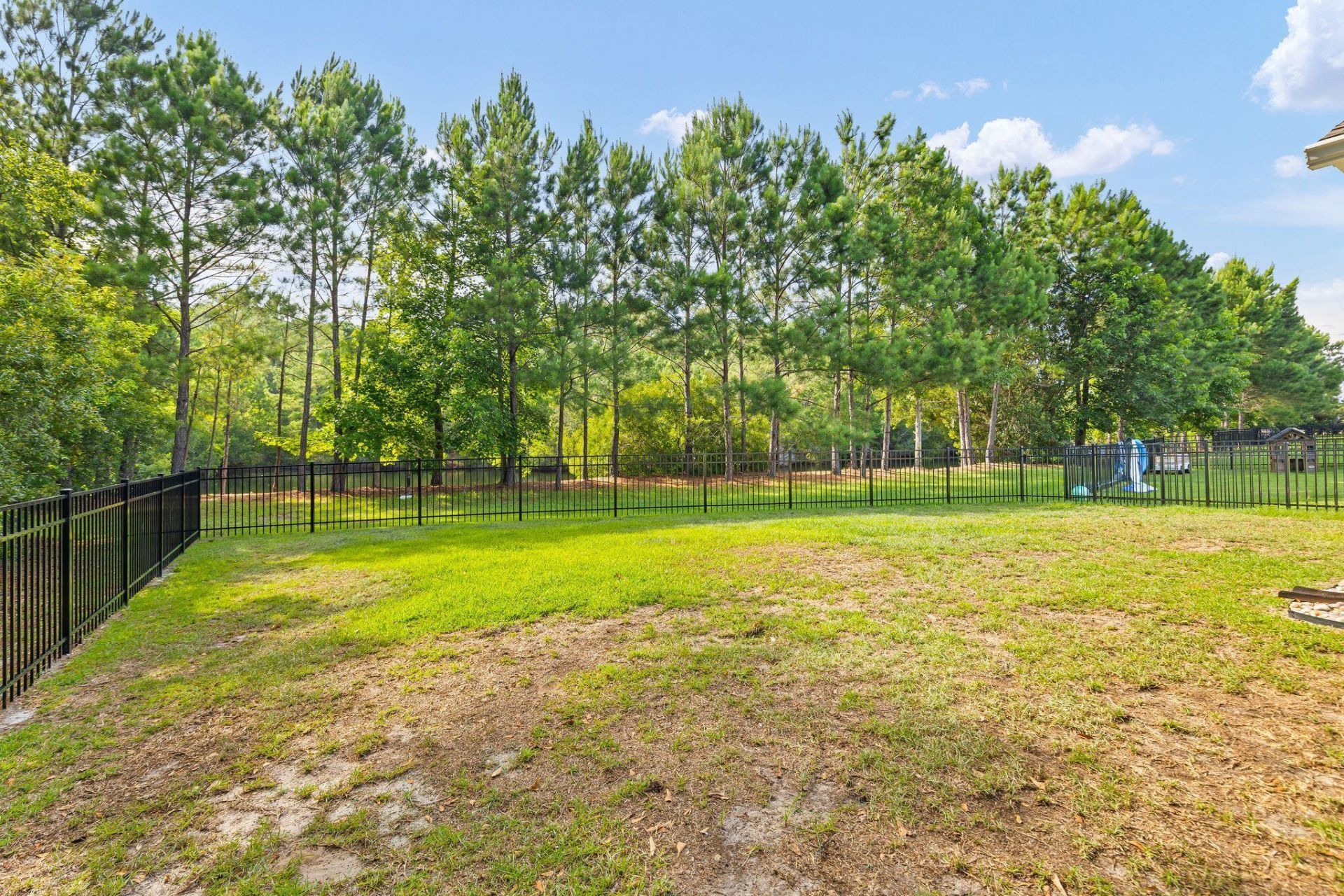 3360 Great Egret Drive Photo 43