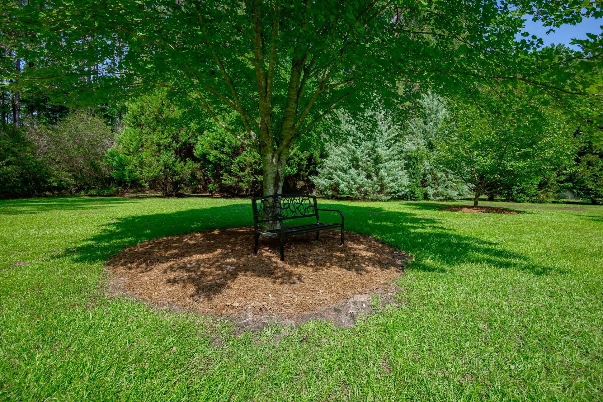 1253 Blackwell Drive Photo 74