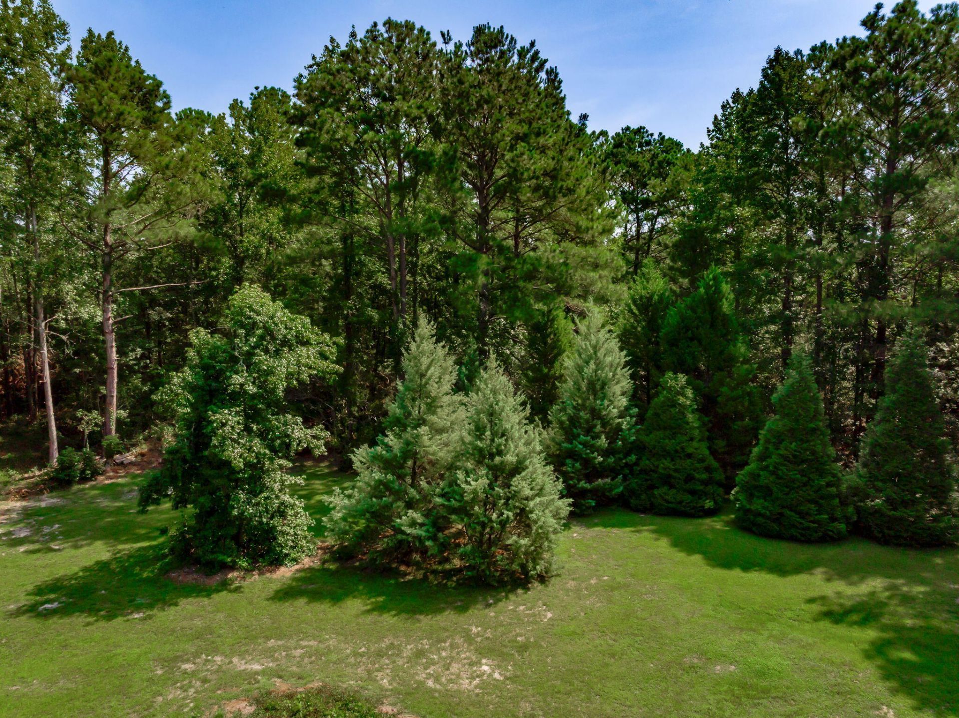 1253 Blackwell Drive Photo 84