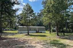 217 Holbrook Drive photo 4