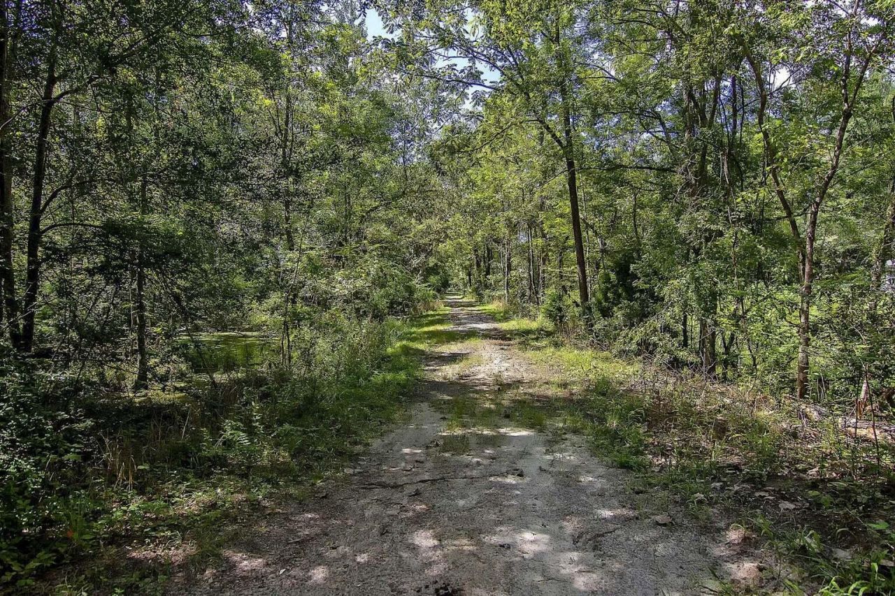 109 Creekside Drive Photo 39