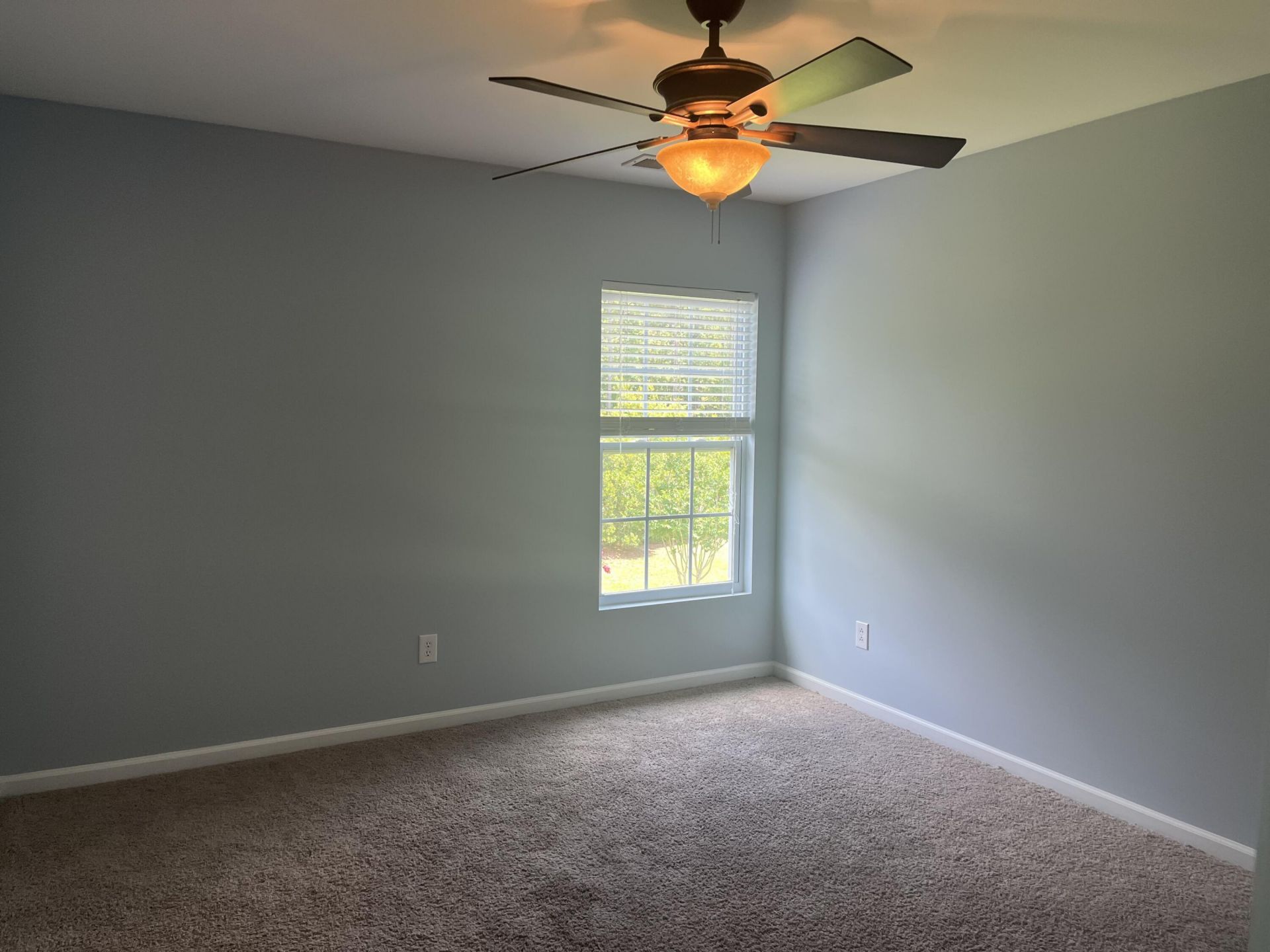 292 Mayfield Drive Photo 7