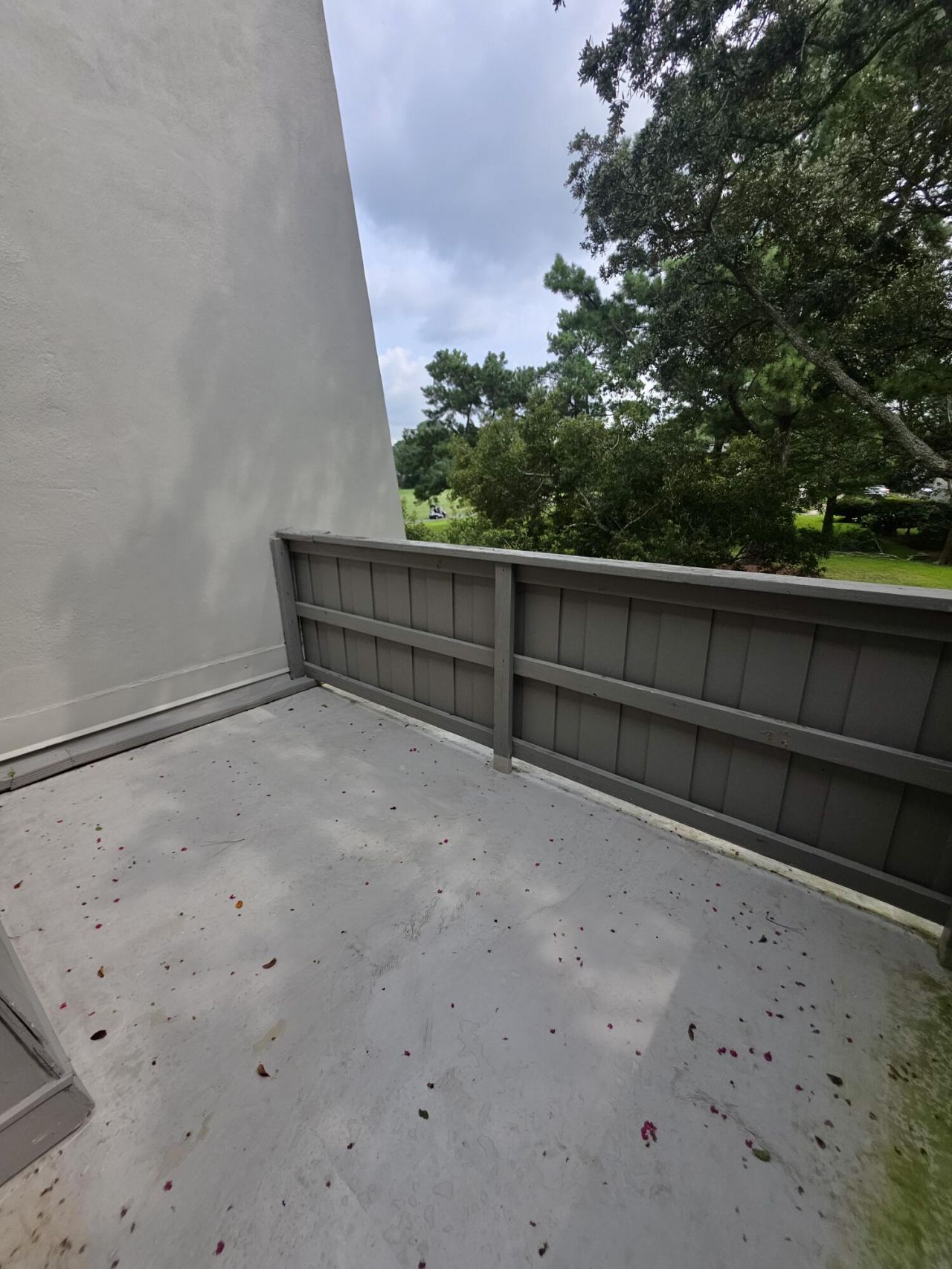 904 Ventura Place Photo 15
