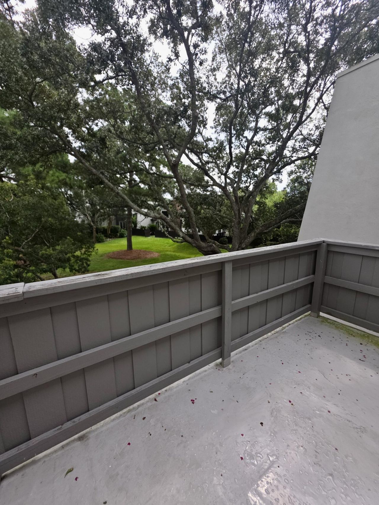 904 Ventura Place Photo 16