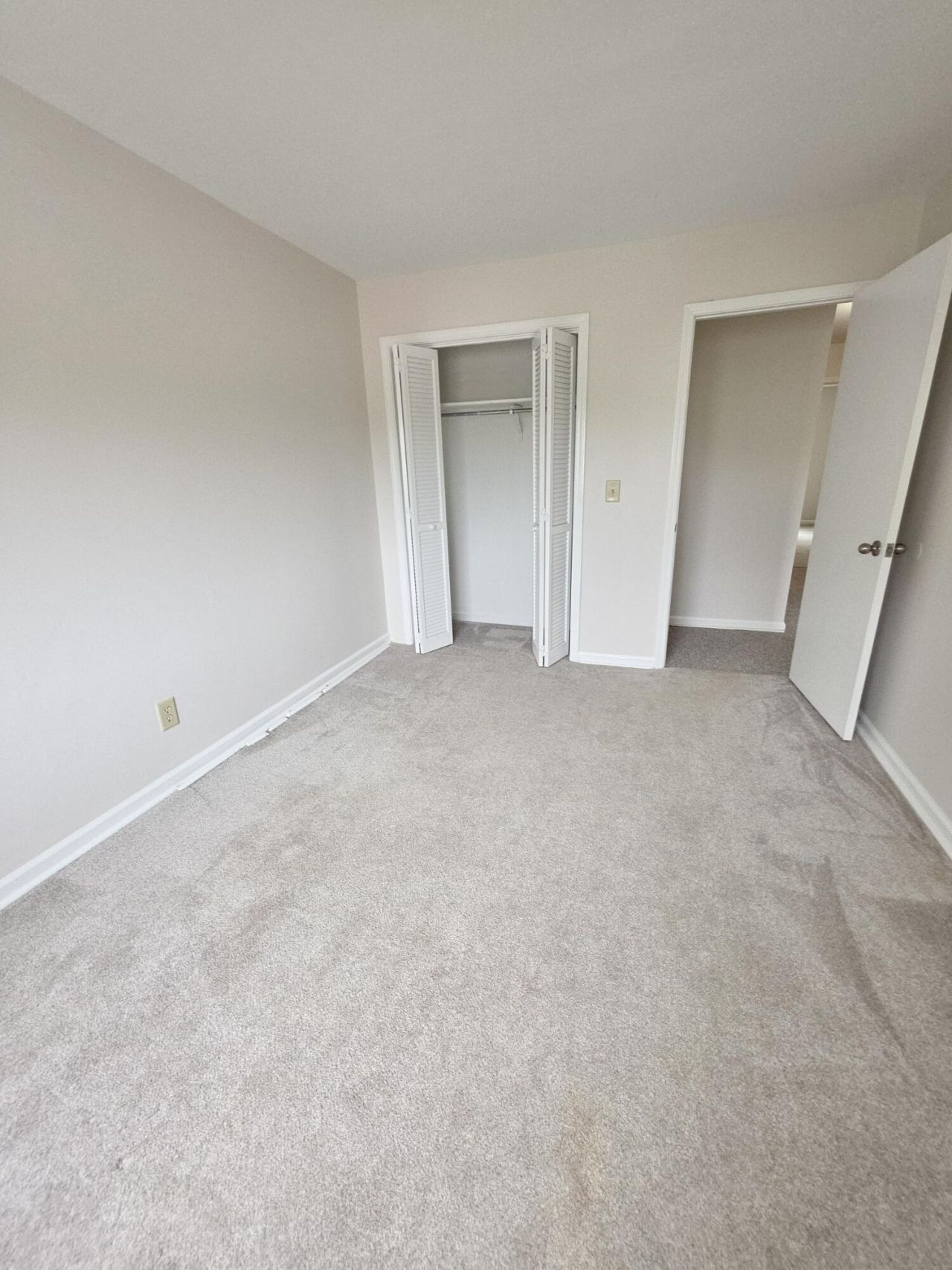 904 Ventura Place Photo 19