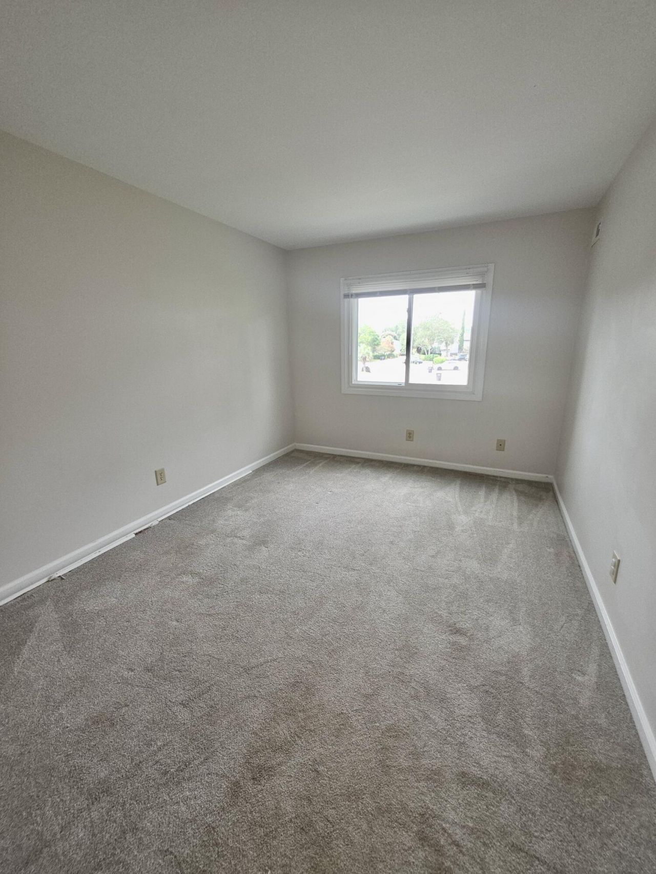 904 Ventura Place Photo 20