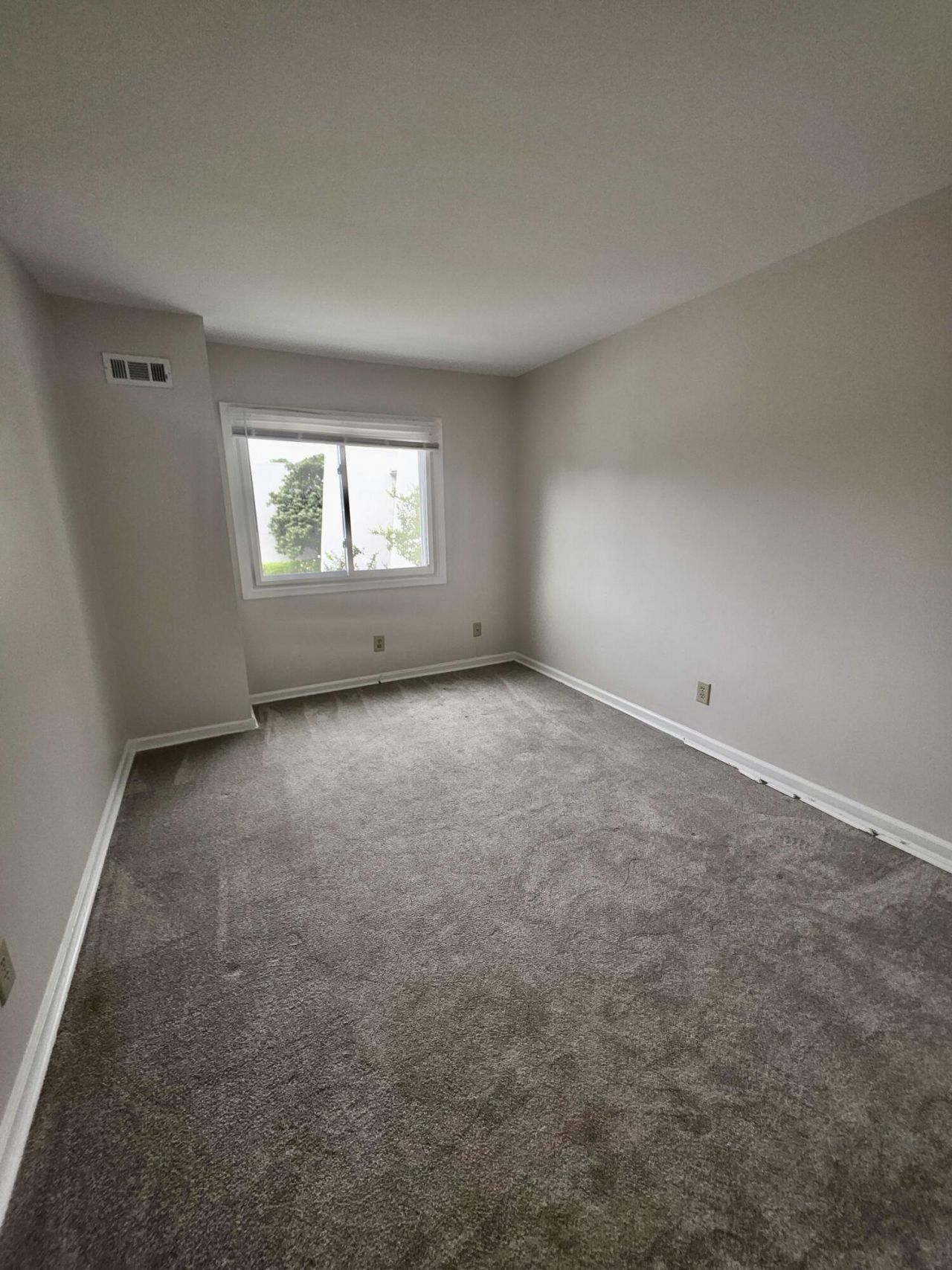 904 Ventura Place Photo 24