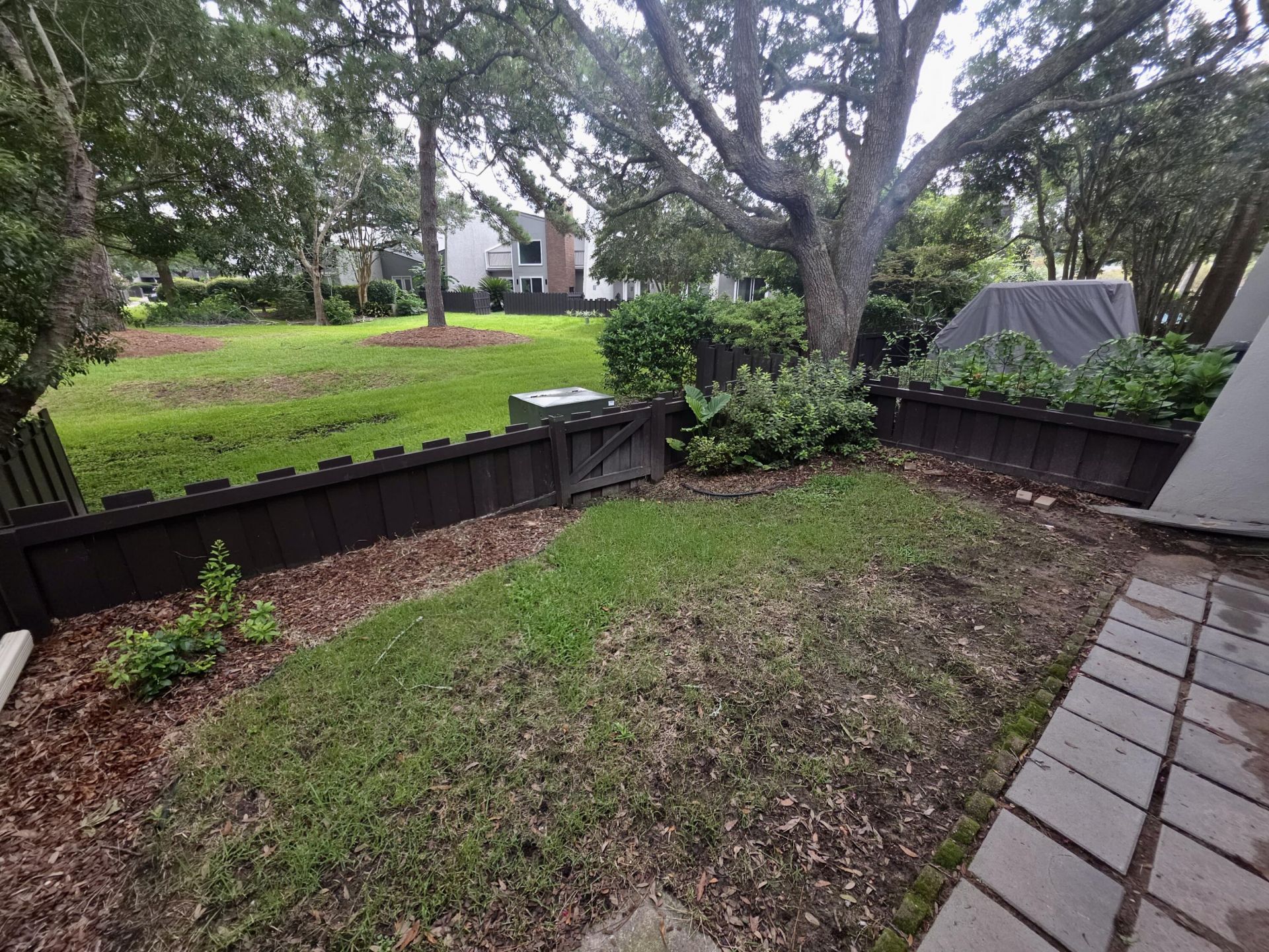 904 Ventura Place Photo 25
