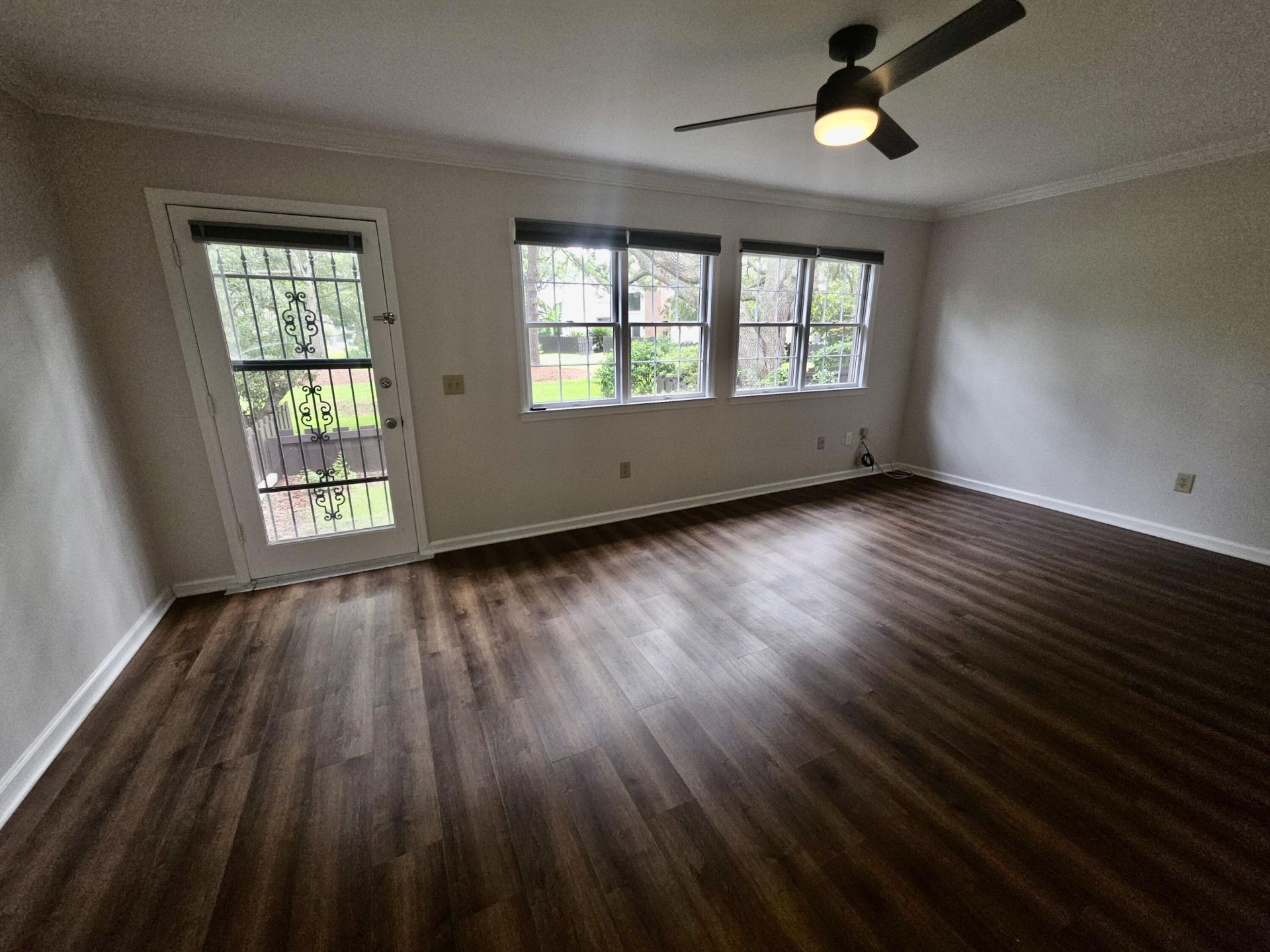 904 Ventura Place Photo 8