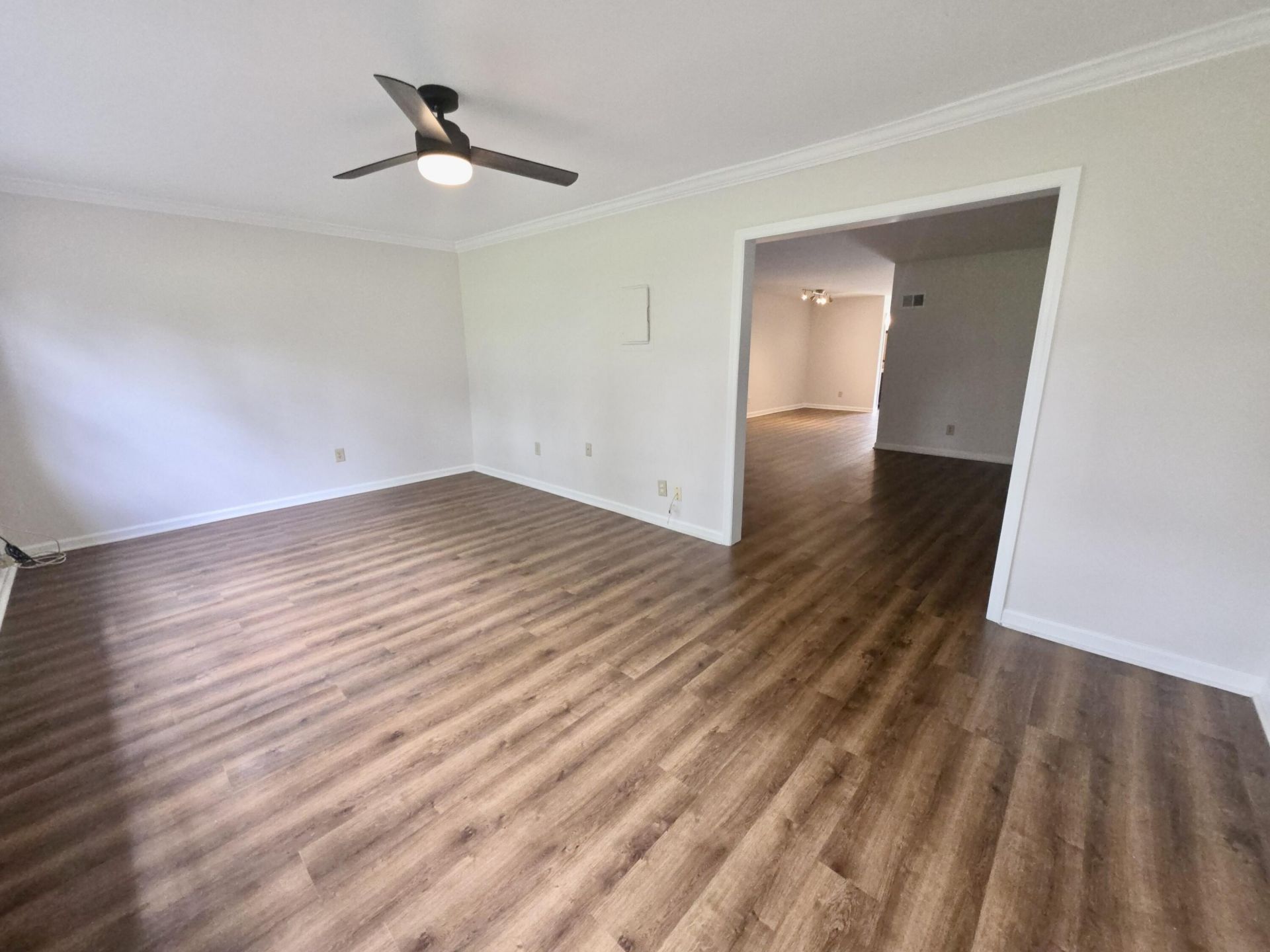 904 Ventura Place Photo 9