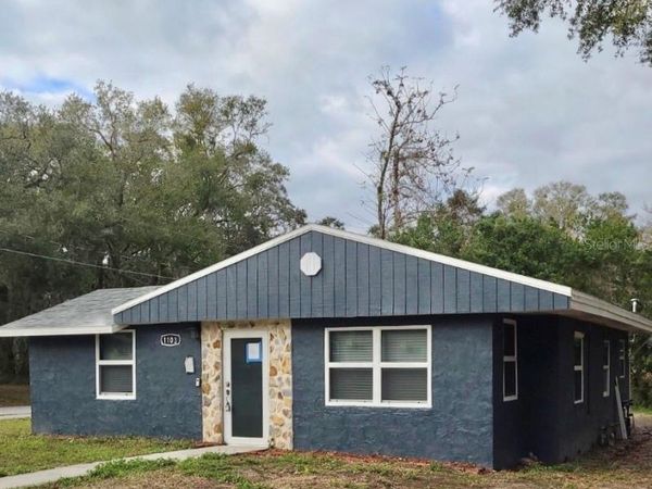 1103 GRANT AVENUE , MOUNT DORA, FL 32757