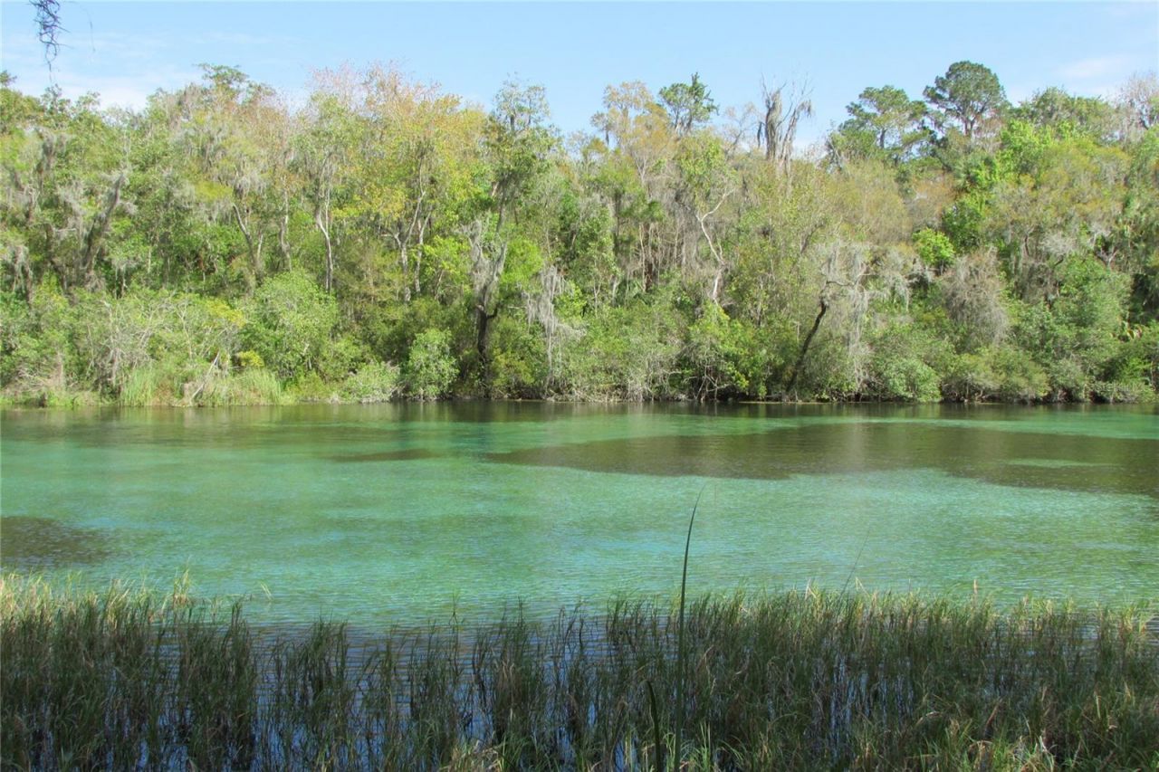 18902 SW 108th Loop, Dunnellon, FL 34432 Photo