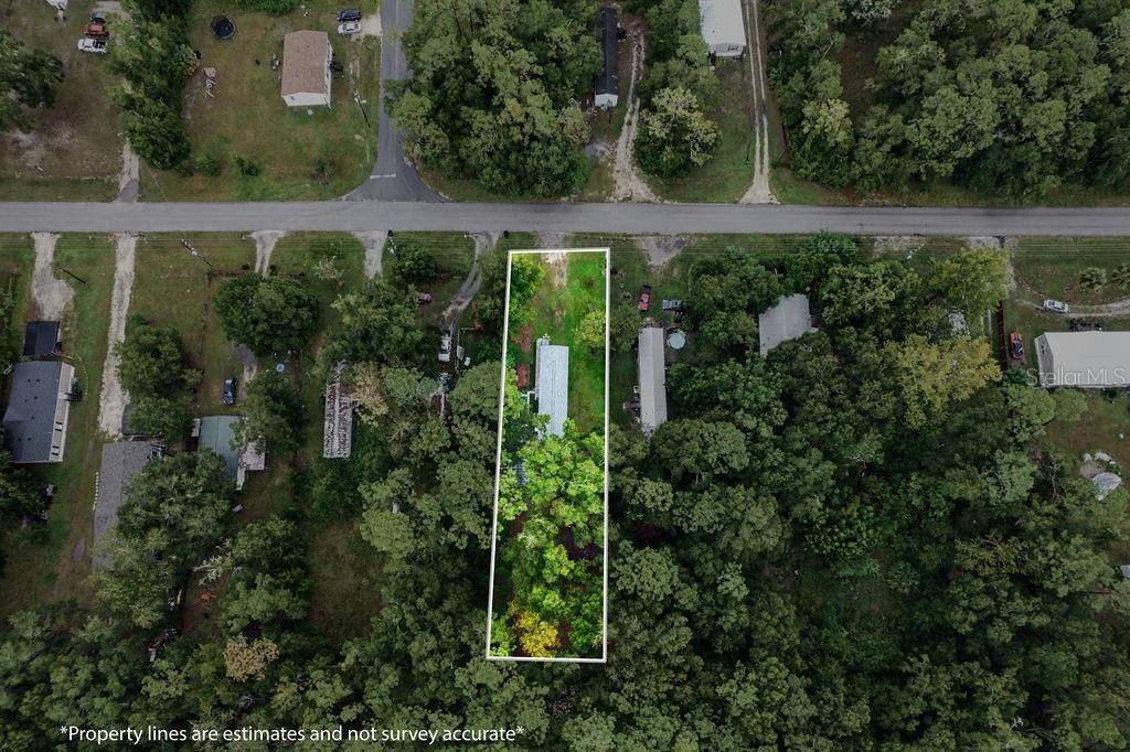 641 Marshburn Drive, Bronson, FL 32621 Photo